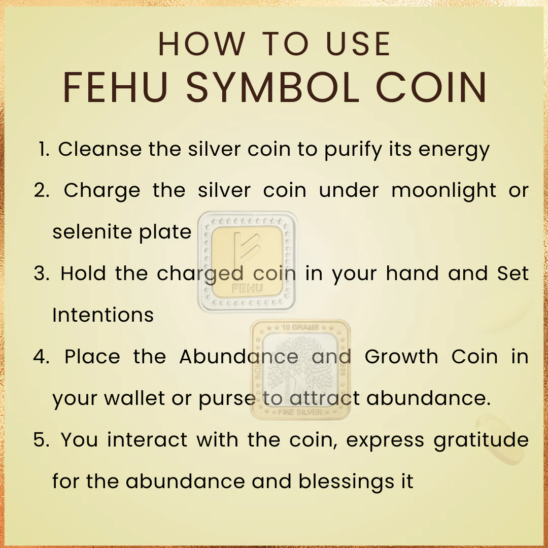 Abundance and Growth Fehu Silver Coin (10 Grams) - Image 5