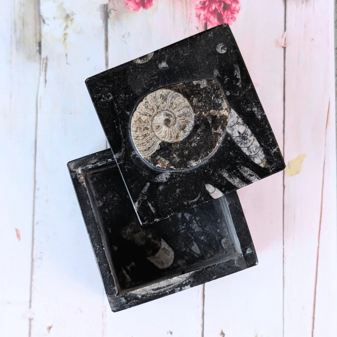 Orthoceras Fossil Square Box – For Wealth, Business Growth & Stability - Image 3